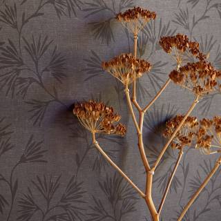 Колекція Enso, 386551 Колекція Enso, 386551