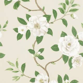 Коллекция Voyage of Discovery, DVOY213380