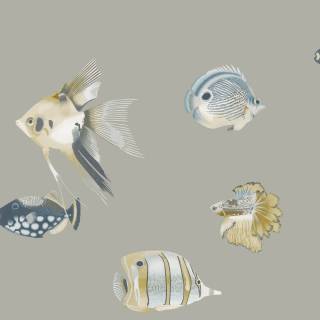 Колекція Anthozoa, HANZ111646 Колекція Anthozoa, HANZ111646