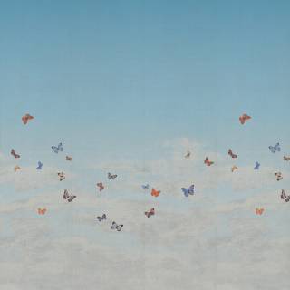Колекція Butterfly Sky, 9668