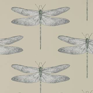 Колекція Colour, HGAT111241