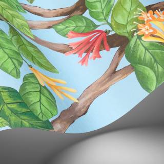 Коллекция Selection of Hummingbirds, 124/2011