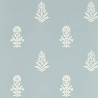 Колекція Curios,  217464