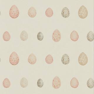 Колекція Embleton Bay, DEBB216506