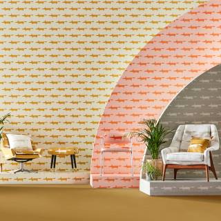 Колекція Midi Fox, NHAP112815