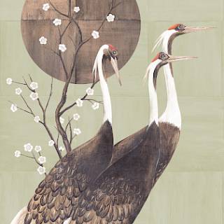 Коллекция Traces, DGTRA7021