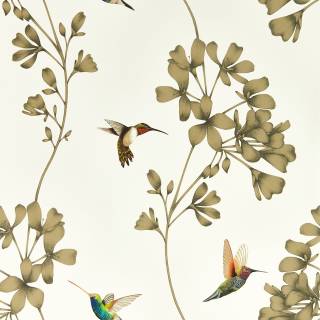 Колекція Colour, HTEW112607