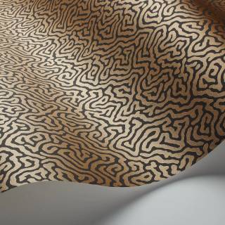 Колекція Curio, 107/4020