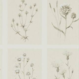 Коллекция Embleton Bay, DEBB216511