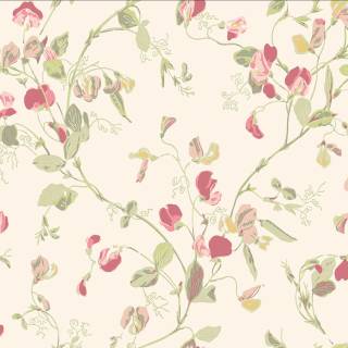 Колекція Archive Anthology 100/6028