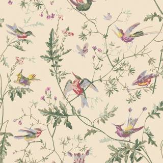 Коллекция Selection of Hummingbirds, 100/14071 Коллекция Selection of Hummingbirds, 100/14071