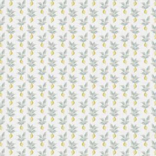 Колекція Bloom & Lattice, 50407W1064102