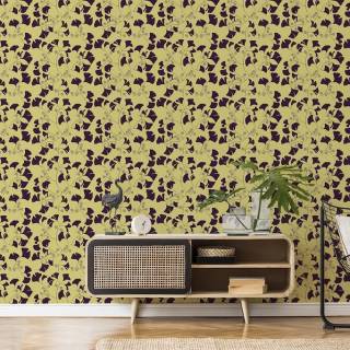 Колекція Wander, 9200051