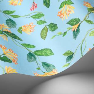 Колекція Selection of Hummingbirds, 124/3018