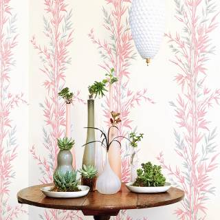 Колекція Archive Anthology 100/5024