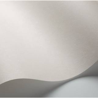 Коллекция  Shades Of Chalk 3029