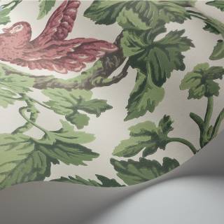 Колекція The Pearwood Collection, 116/5018