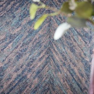 Колекція Linares, 617542