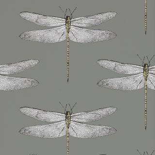 Колекція Colour 2, HGAT111242