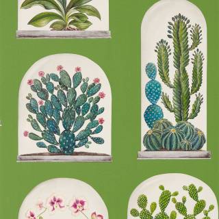 Колекція Glasshouse, DGLW216656