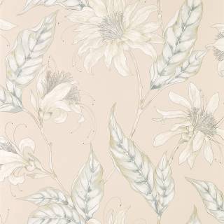 Колекція Mirador, HMIW112253