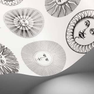 Коллекция Fornasetti Senza Tempo II, 123/1001