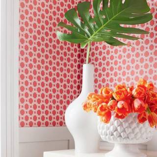 Колекція Palm Grove, T13958