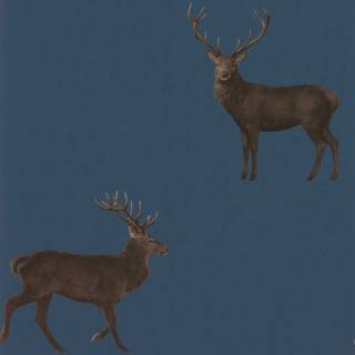 Колекція Arboretum, DYSI216620