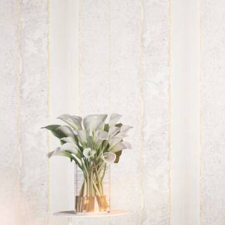 Колекція Transition, fj30210