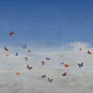 Колекція Butterfly Sky, 9669