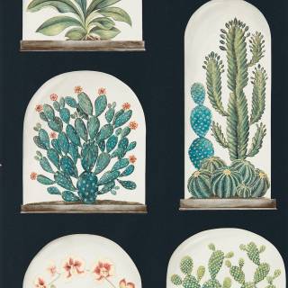 Коллекция Glasshouse, DGLW216658