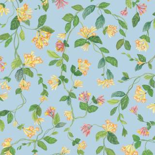 Колекція Selection of Hummingbirds, 124/3018