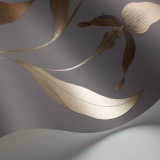 Колекція The Contemporary Selection, 95/10056 Колекція The Contemporary Selection, 95/10056