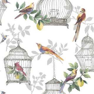 Колекція Anthology Resource, db11900 Колекція Anthology Resource, db11900