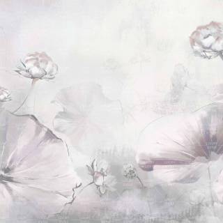 Колекція Kids Walls, wlk