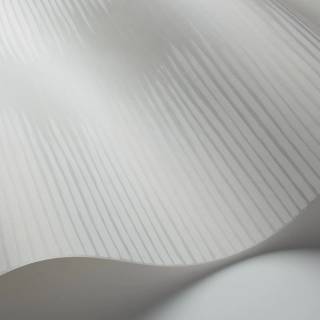 Колекція Curio, 107/3013 Колекція Curio, 107/3013