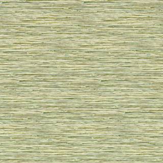 Колекція Breegan Jane x Clarke and Clarkee, W0192/04