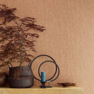 Колекція Terra, 391540